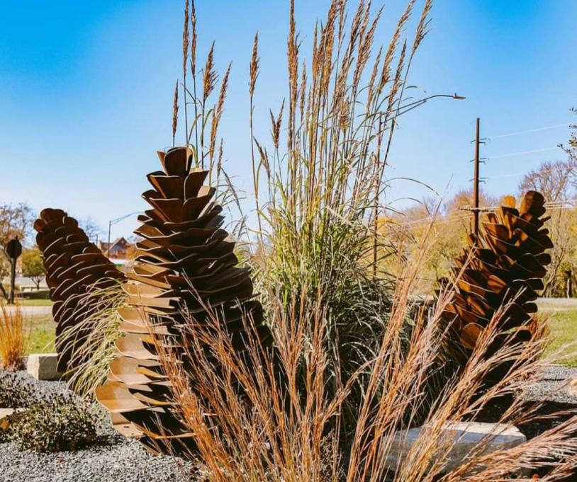 Pinecones